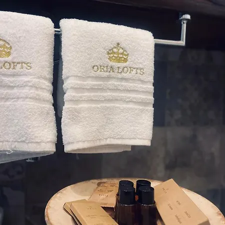 Oria Lofts Holiday home